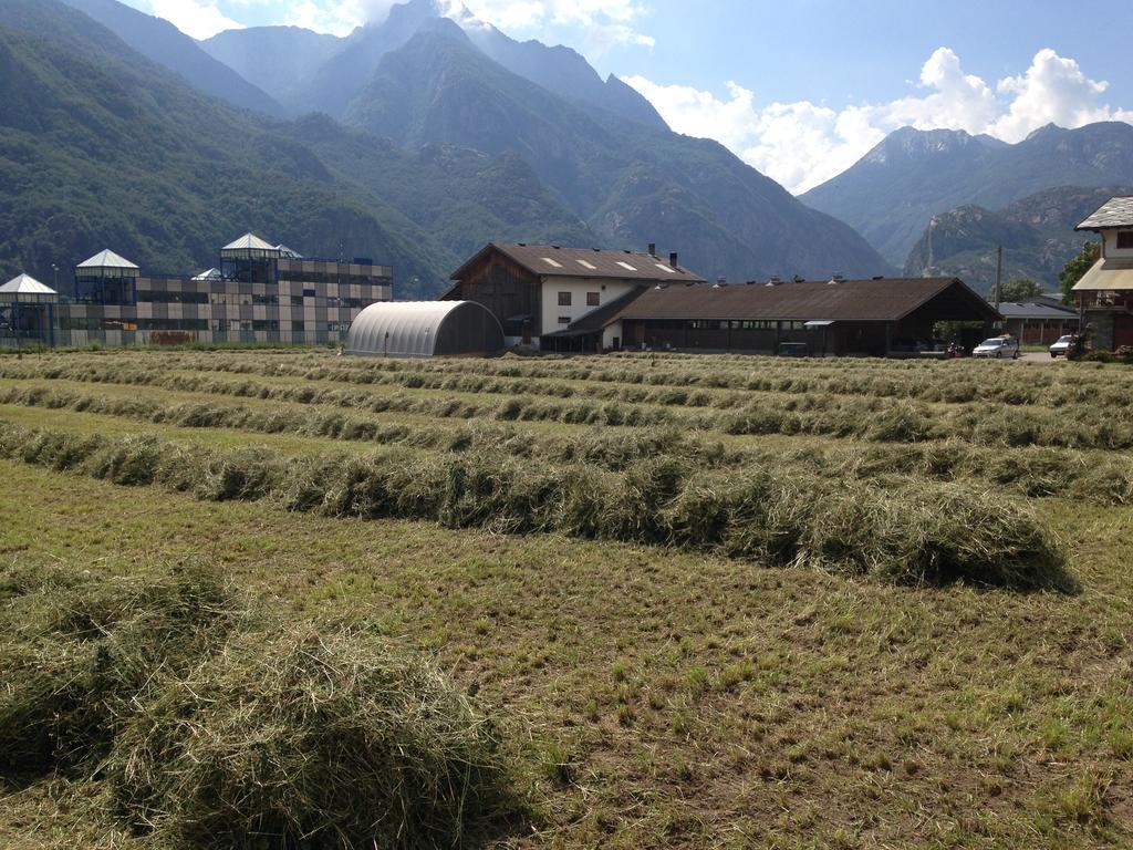 Agriturismo La Grange ポン・サン・マルテン エクステリア 写真